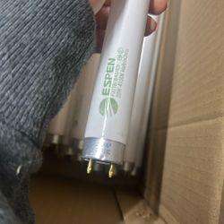 4ft fluroscent Bulbs 