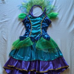 Girls Peackok Costume Size Medium (8)