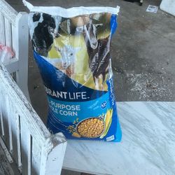 40 lbs  All Purpose Whole Corn $11