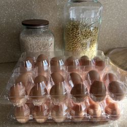 Organic Eggs