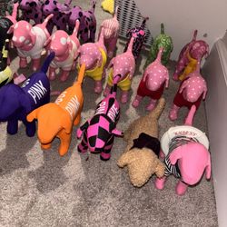 Victoria’s Secret PINK Dogs