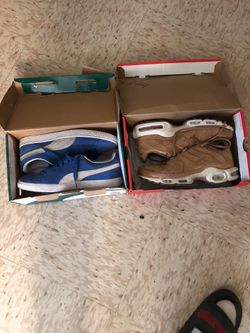 Air max plus & Pumas