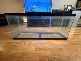 55 Gallon Glass Aquarium
