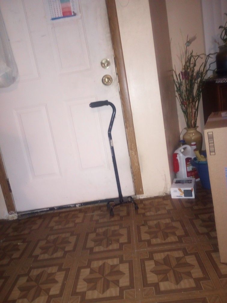 Cane