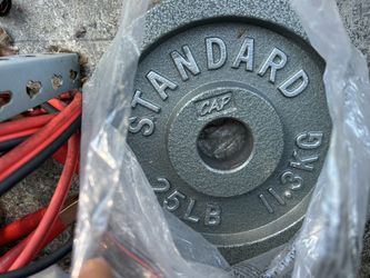 2 CAP Barbell Gray Olympic Cast Iron Weight Plate