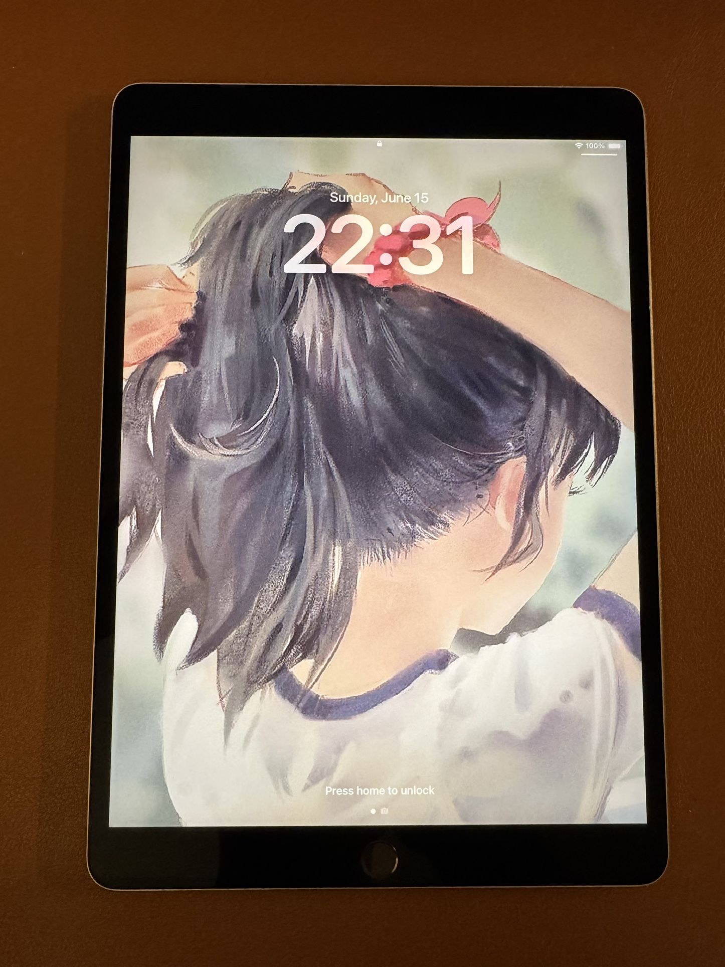 iPad Pro 2017 10.5 (Like New)