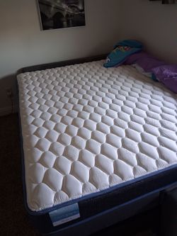 Clean bed only a month old