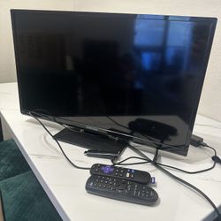 Orion 25” Flat Screen TV and Roku Stick