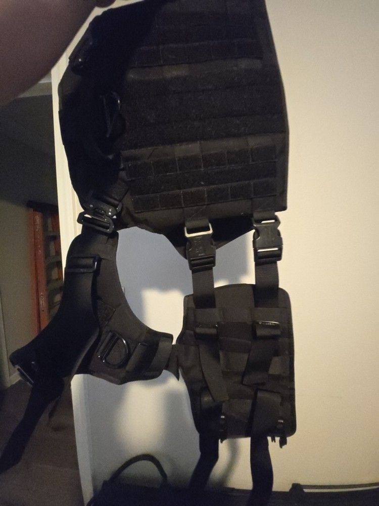 Canine Vest
