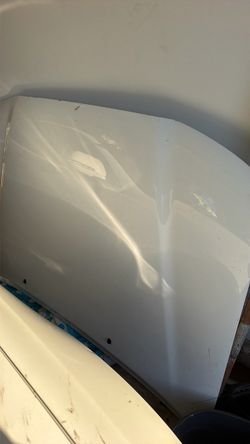 2007 Tacoma hood