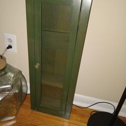 Green 3 Tier Shelf With Glass Door