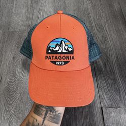 Patagonia Fitz Roy Scope Lopro Trucker Hat - Excellent - Bear Witness