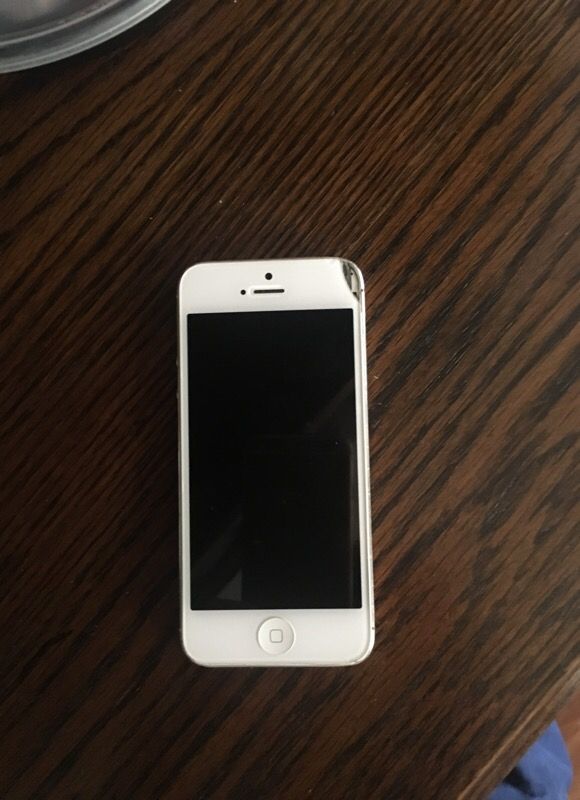 iPhone 5 or 6