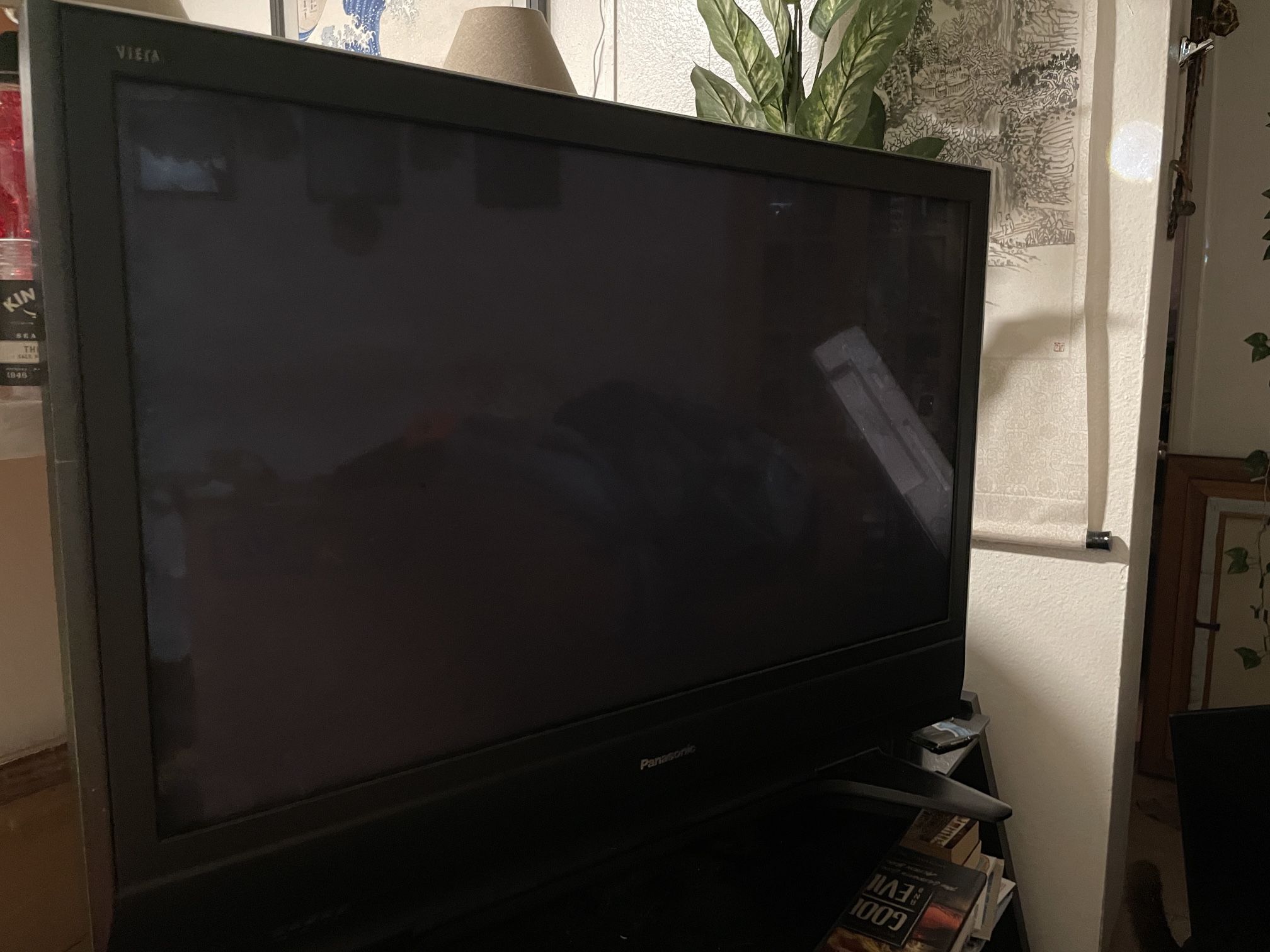 Panasonic Tv With Remote.