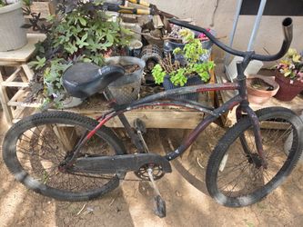 Beach Cruiser