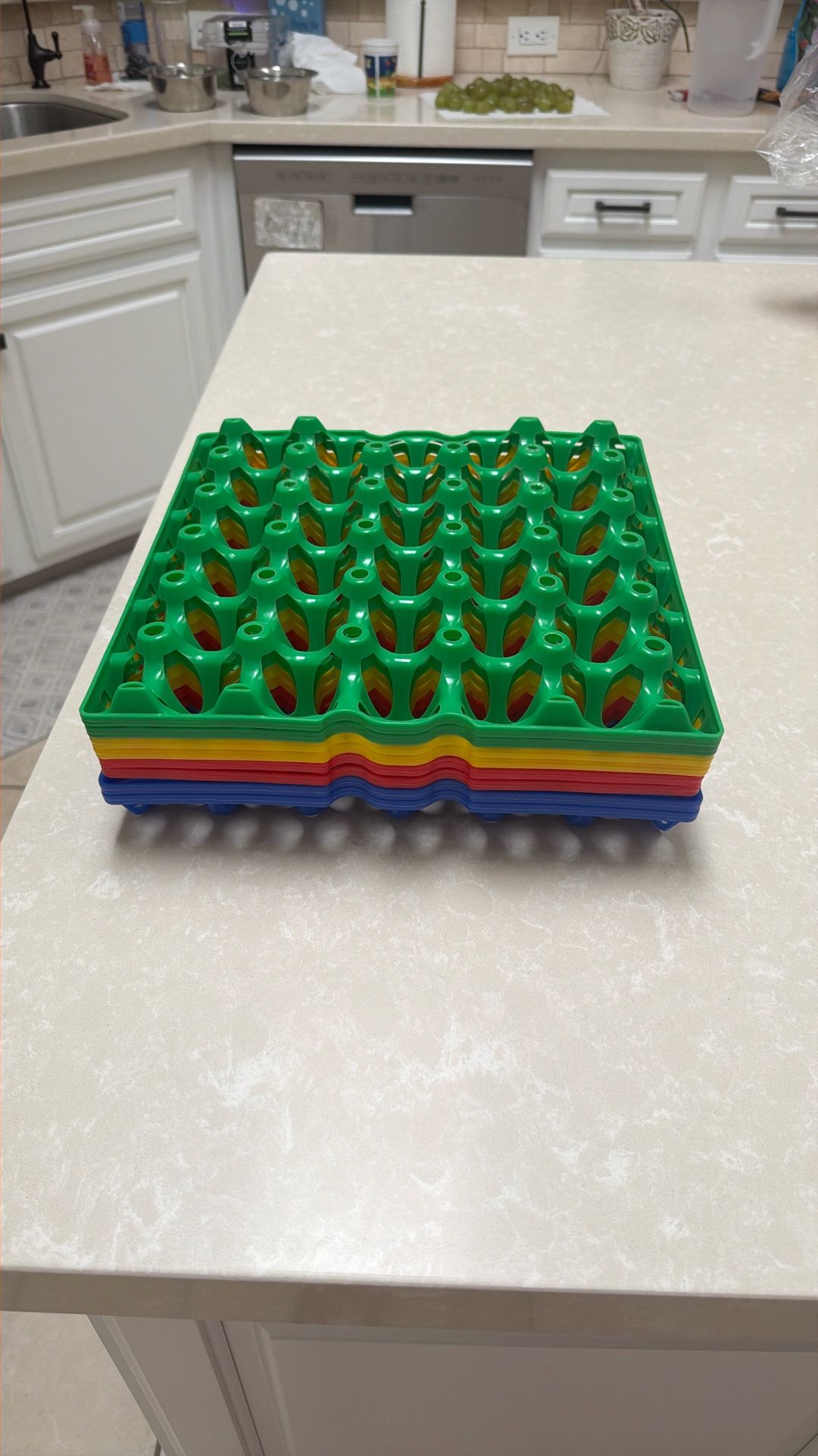 Egg Trays