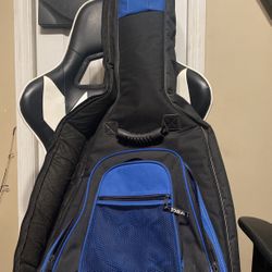 Wings Guitar Case