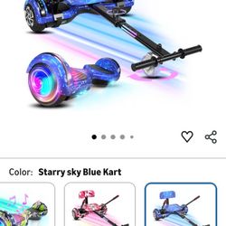 Hover Board /go Cart 