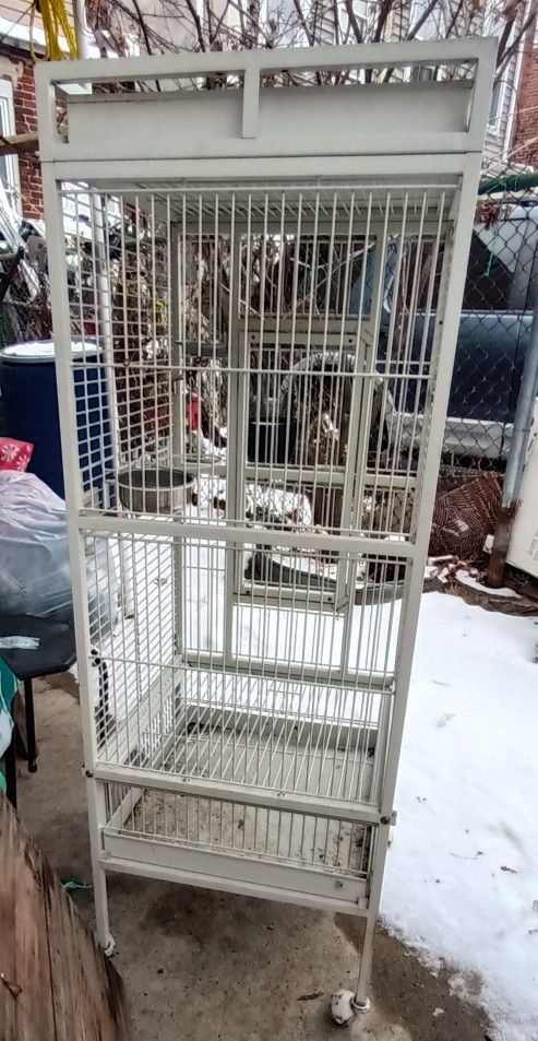 Bird Cage