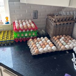 Eggs! 30pack