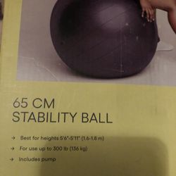 Stability Ball 