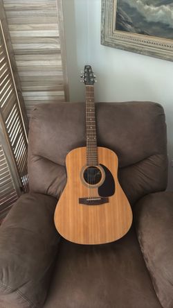 Seagull M series