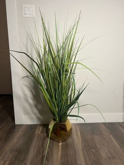 Fake Plant with gold bottom