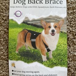 Dog Back Brace