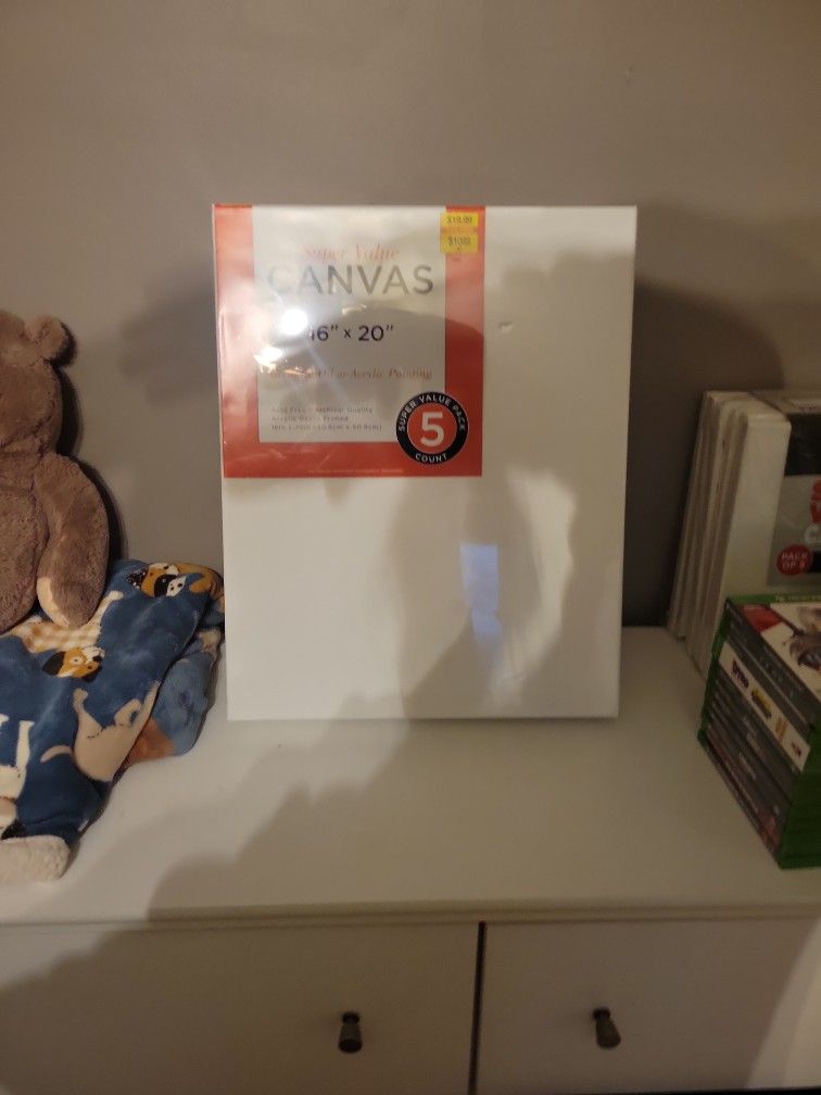 16 x 20 New Canvases