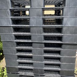 Plastic Pallets 