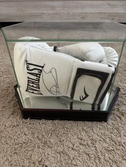 Canelo Alvarez Signed Boxing Gloves