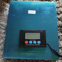 Postal Scale 