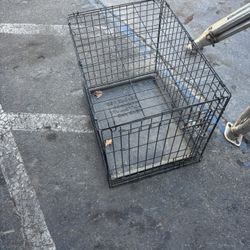 dog cage