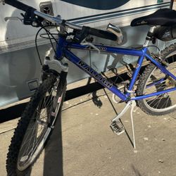 Raleigh Mountain Bike Ready To Ride 