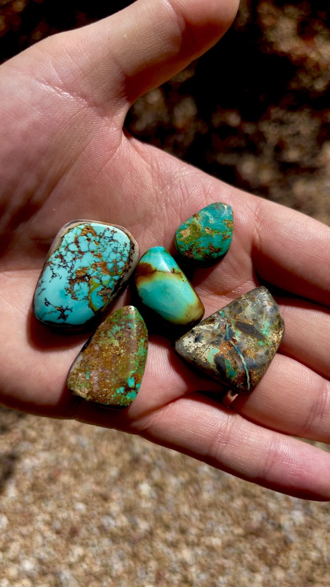 Turquoise Cabochons