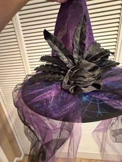 Halloween Witch Hat with Black Feather Trim
