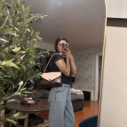 LOUIS VUITTON 2 way bag