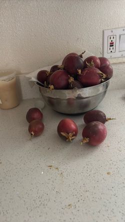 Maracuyas Passion Fruit