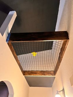Cat Net