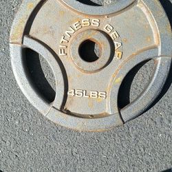 Plate 45lbs