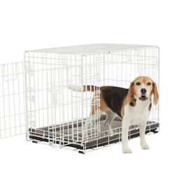 White Dog Kennel 
