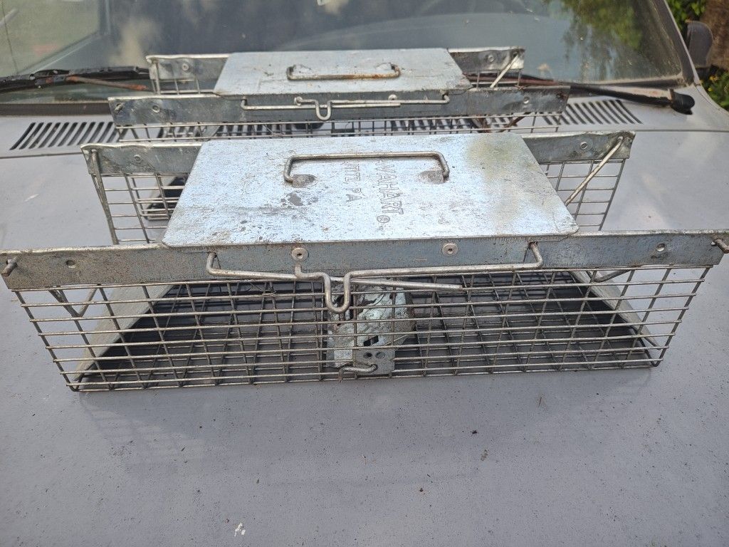 Critter Traps