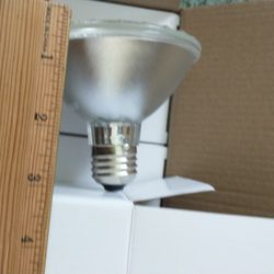 New Light Bulbs