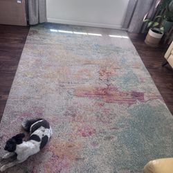 Free 7x10 area rug