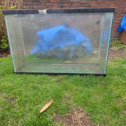 40 Gallon Aquarium And Stand 