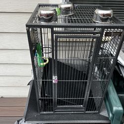 Bird Cage
