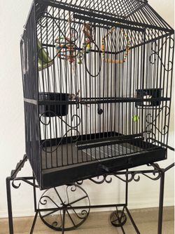 Birdcage