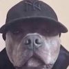 Vince