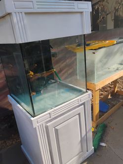 60 Gallon Cube Aquarium with Stand and Canopy