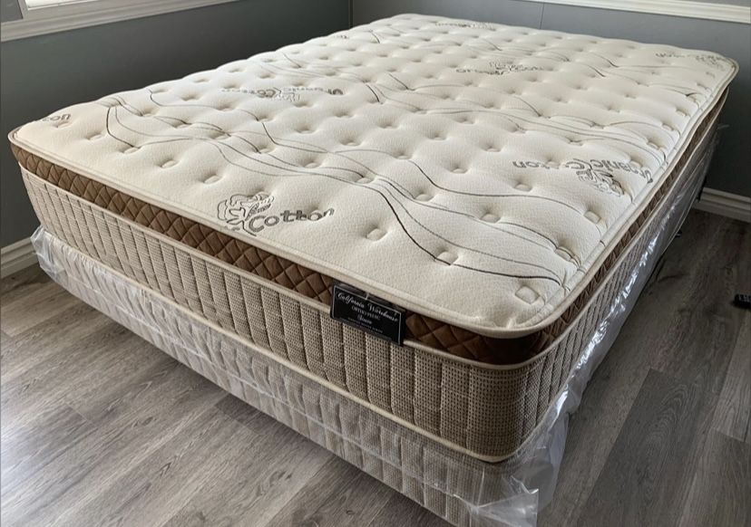 Queen Organic Cloud Edition Europillow Top 12inch Matres!!
